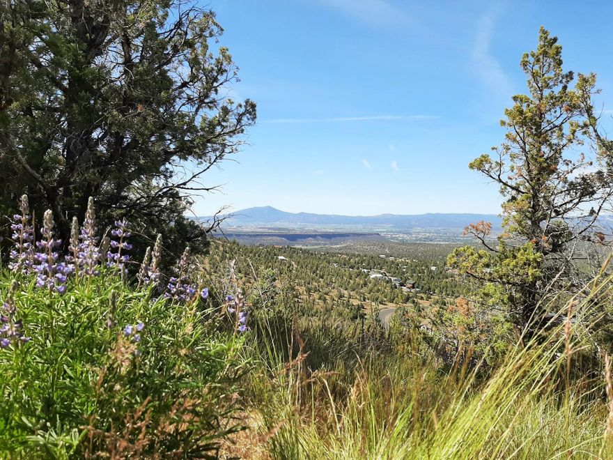 6.27 acres on Night Hawk Court. This is a great place to build your dream home. Featuring a community water system, septic approval, paved roads not too far out of town (Only six miles to Starbucks according to google maps!), protective CC&Rs AND 520 acres of BLM land borders this parcel to the south. But what really sets this parcel apart is the views! The Million. Dollar. Views. You really need to see it! So grab your favorite agent, give them a pep-talk to walk and head up that hill to check it out!