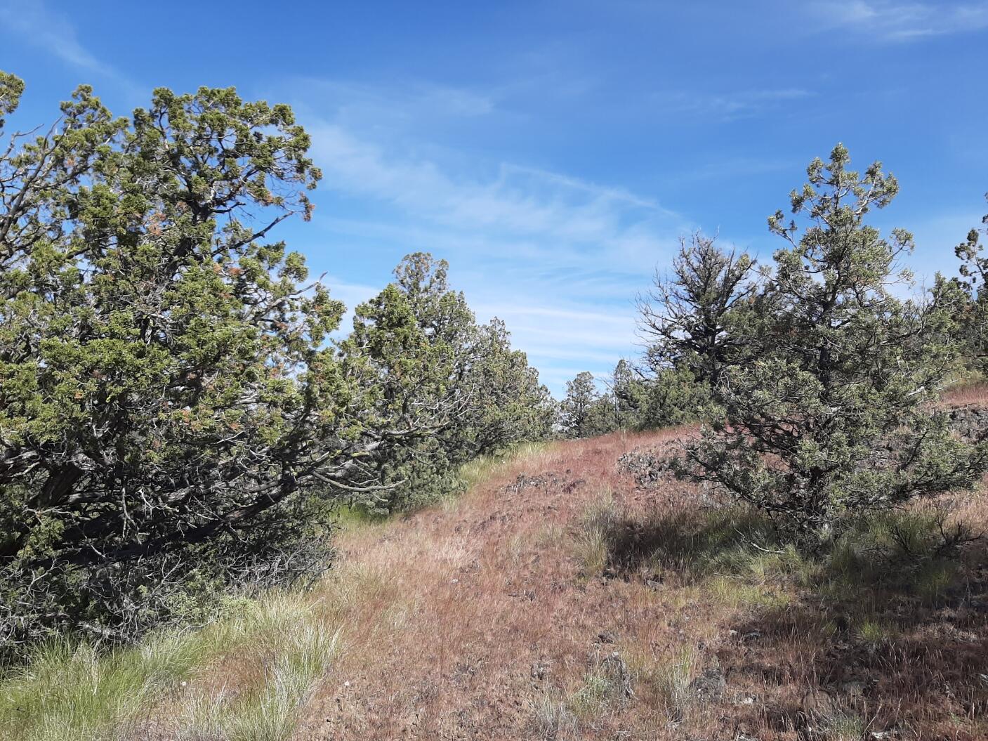 Scenic Vista Estates - Land