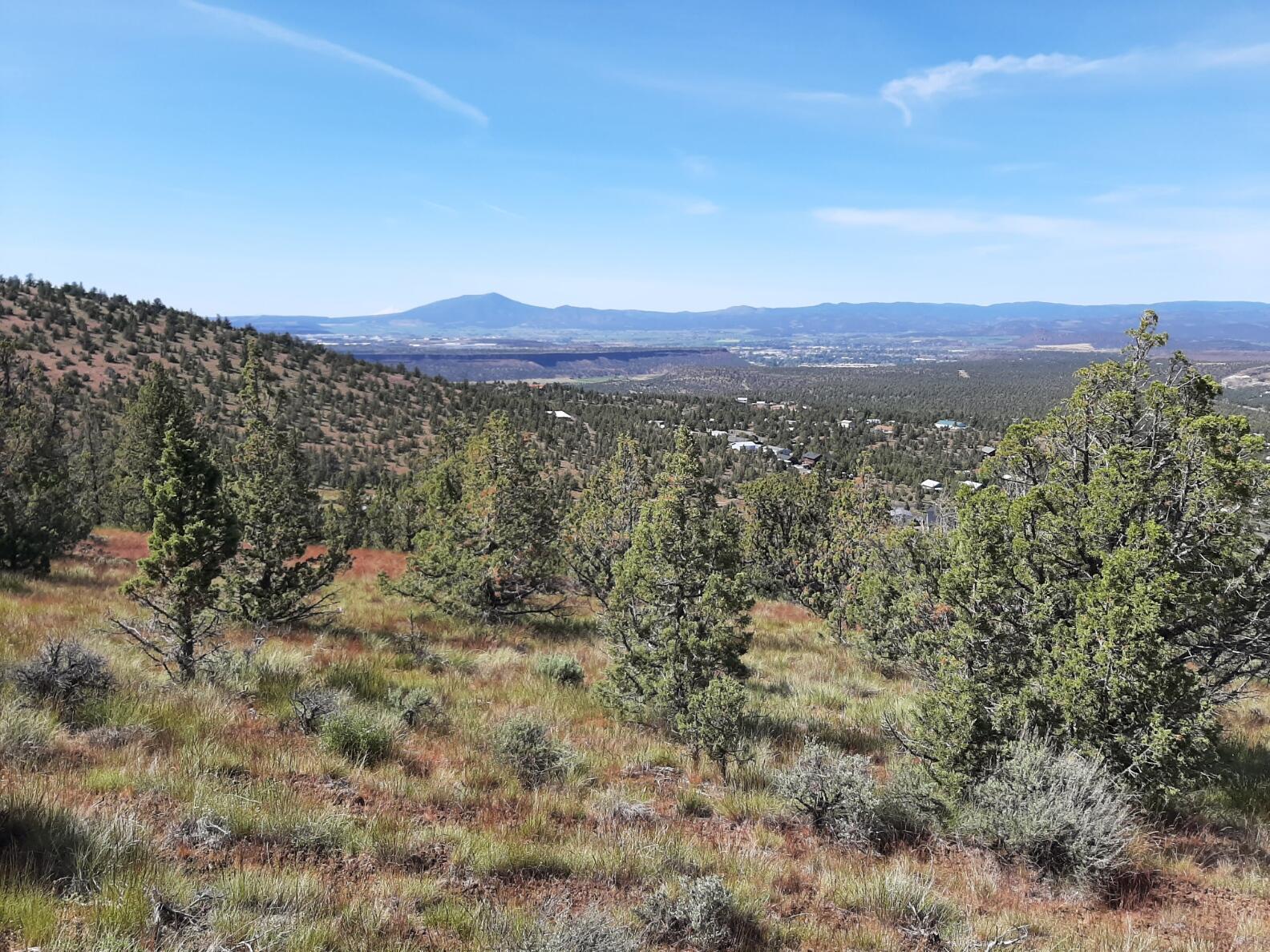 Scenic Vista Estates - Land