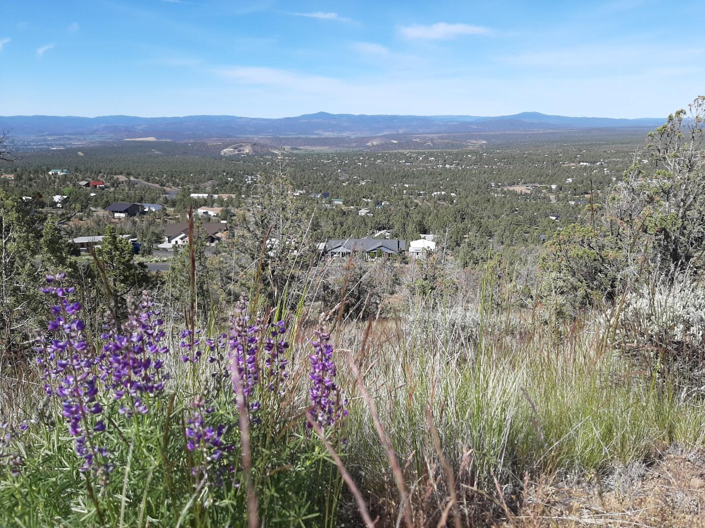 Scenic Vista Estates - Land