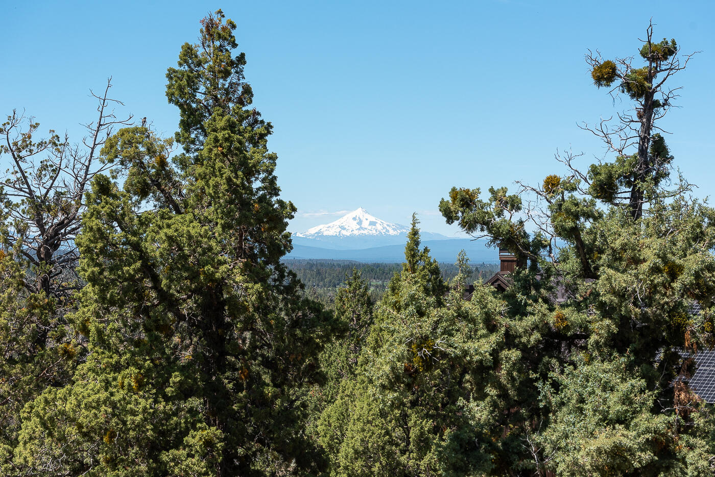 North Rim - Residential