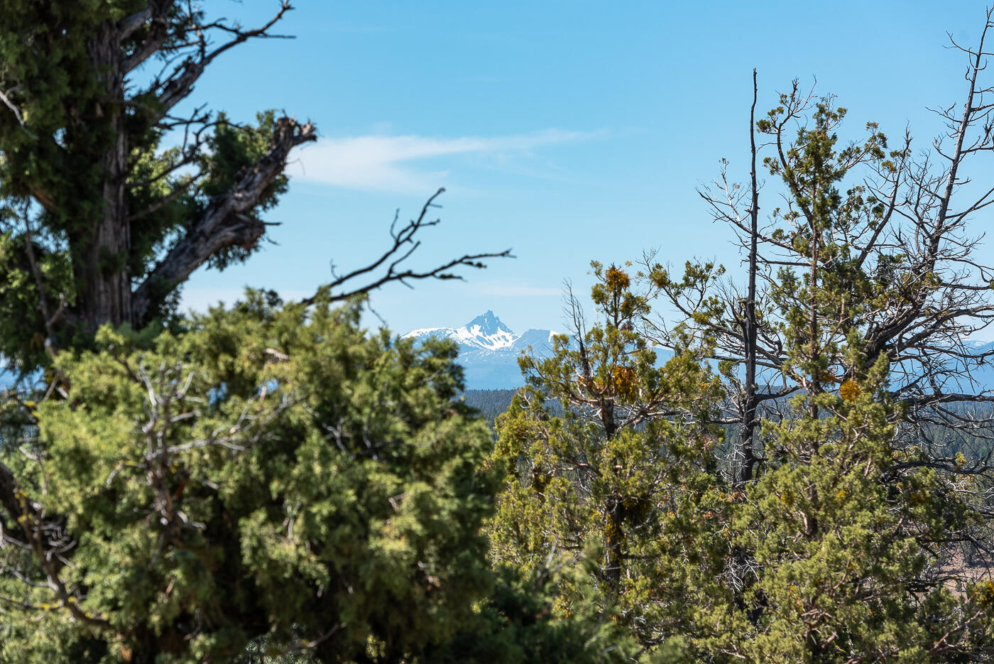 North Rim - Residential