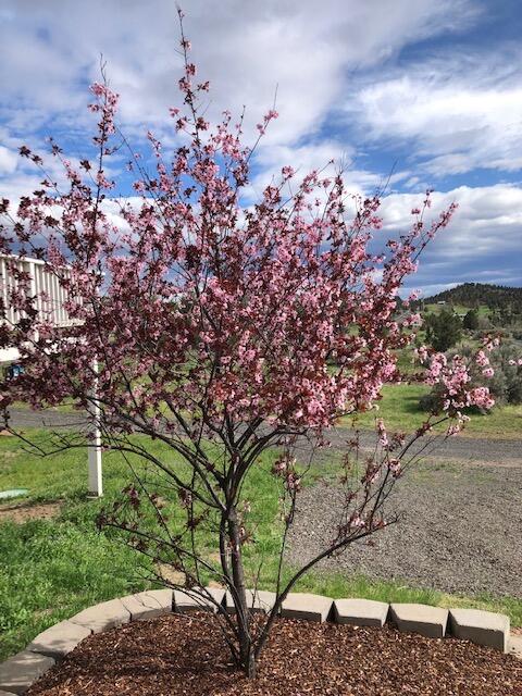 Idleway Acres - Residential