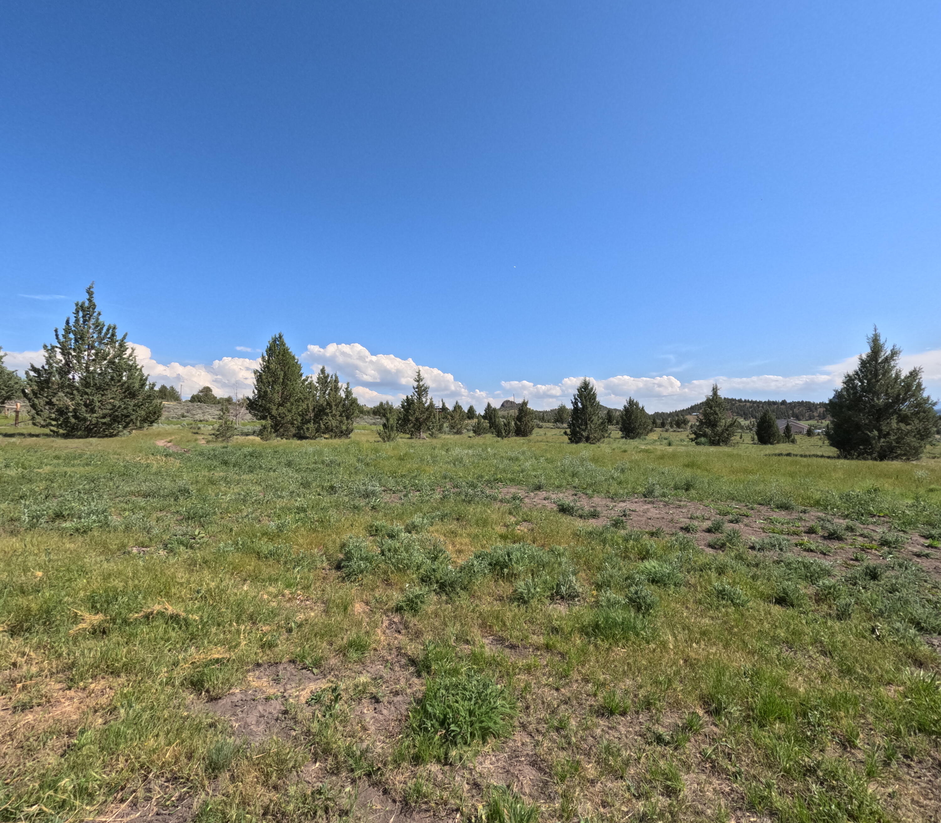 Idleway Acres - Residential