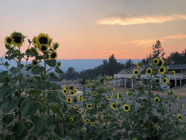 Idleway Acres - Residential