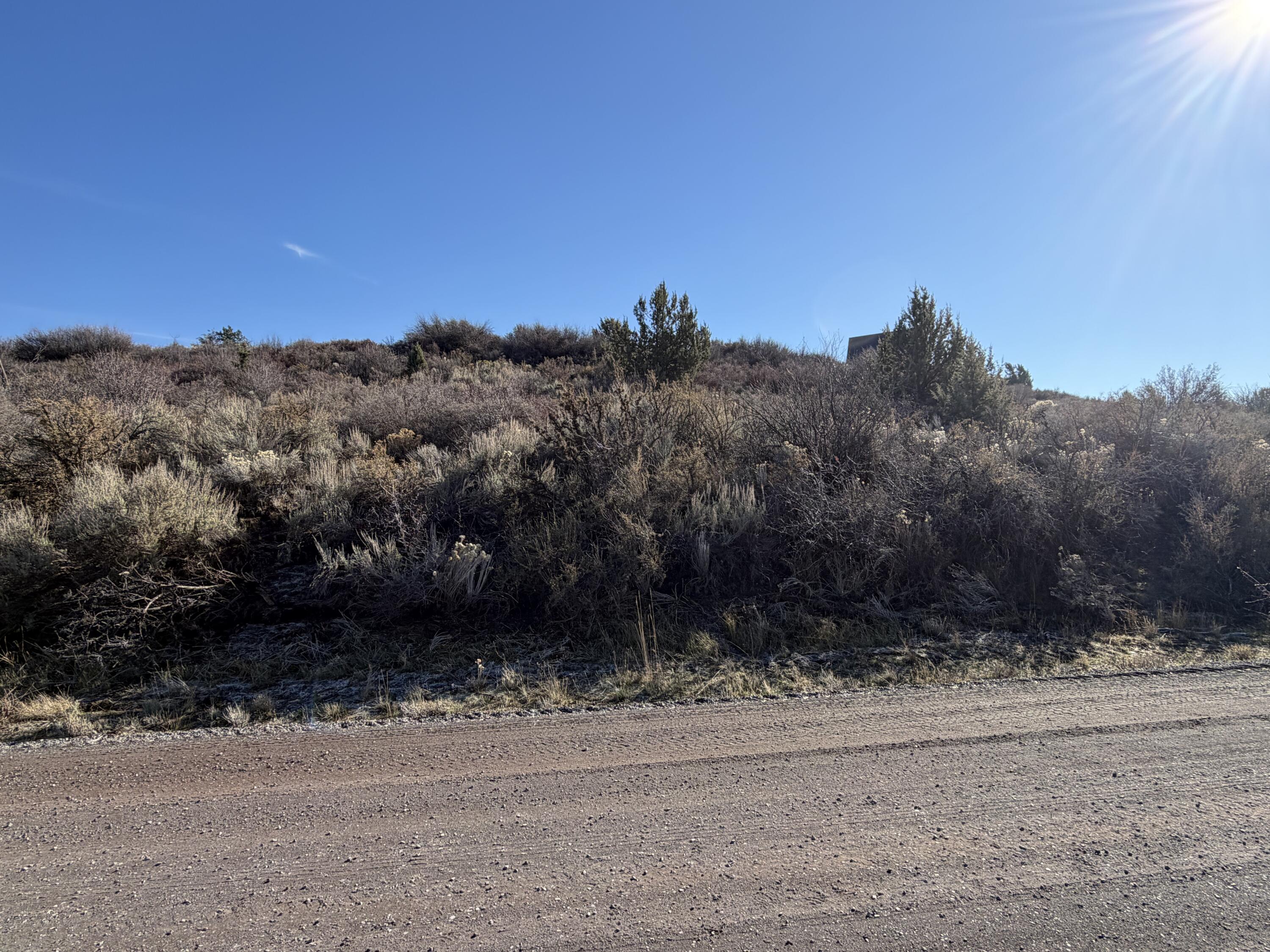 Oregon Shores -Unit 2 - Land