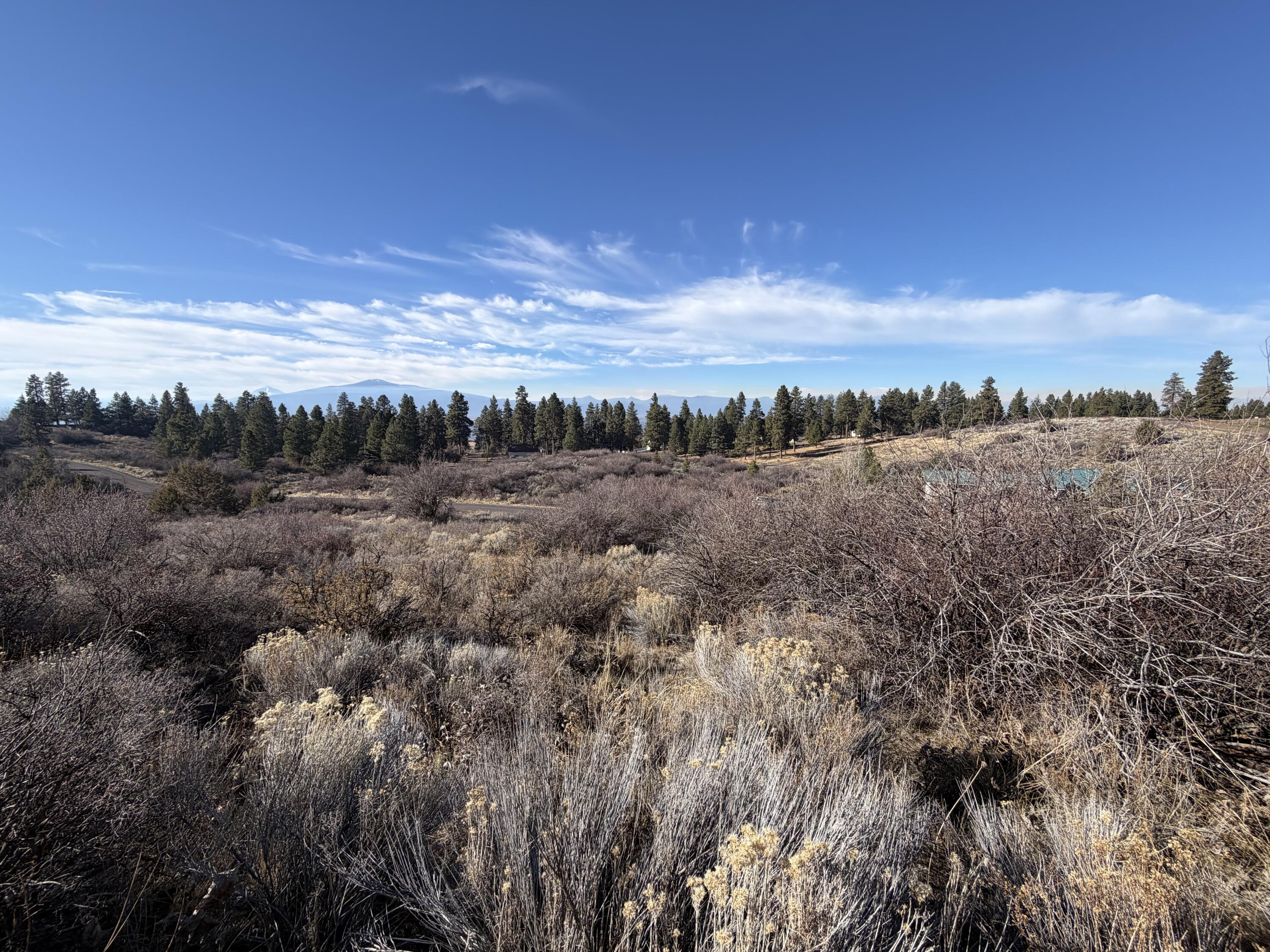 Oregon Shores -Unit 2 - Land