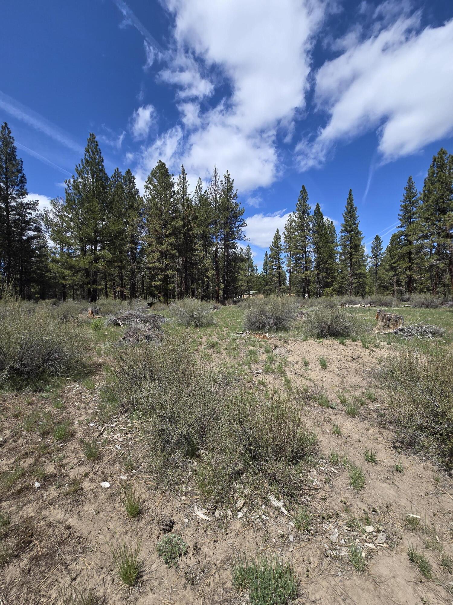 Klamath Falls Forest Estates -Hwy 66 Unit -Plat No. 2 - Land