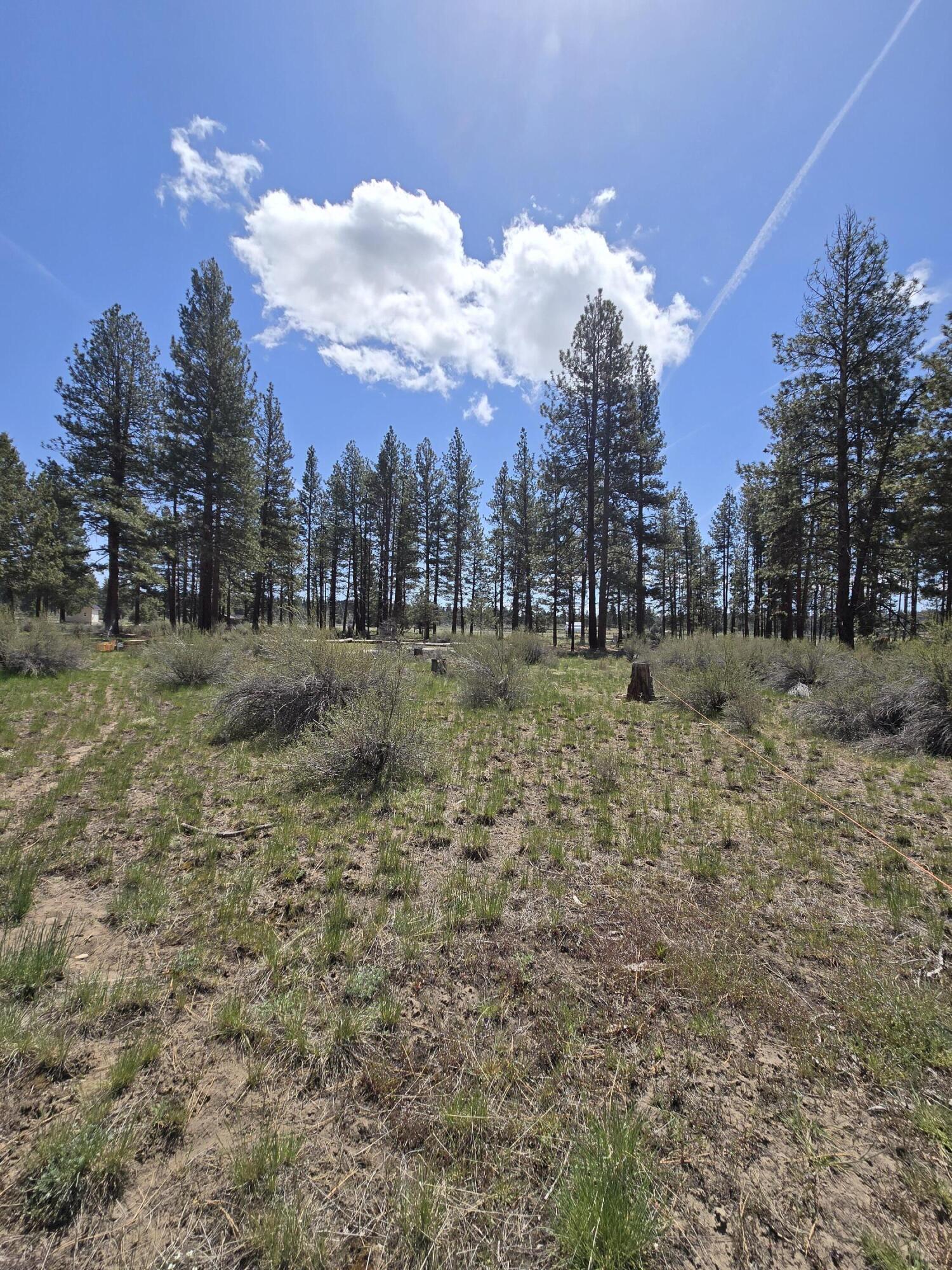 Klamath Falls Forest Estates -Hwy 66 Unit -Plat No. 2 - Land