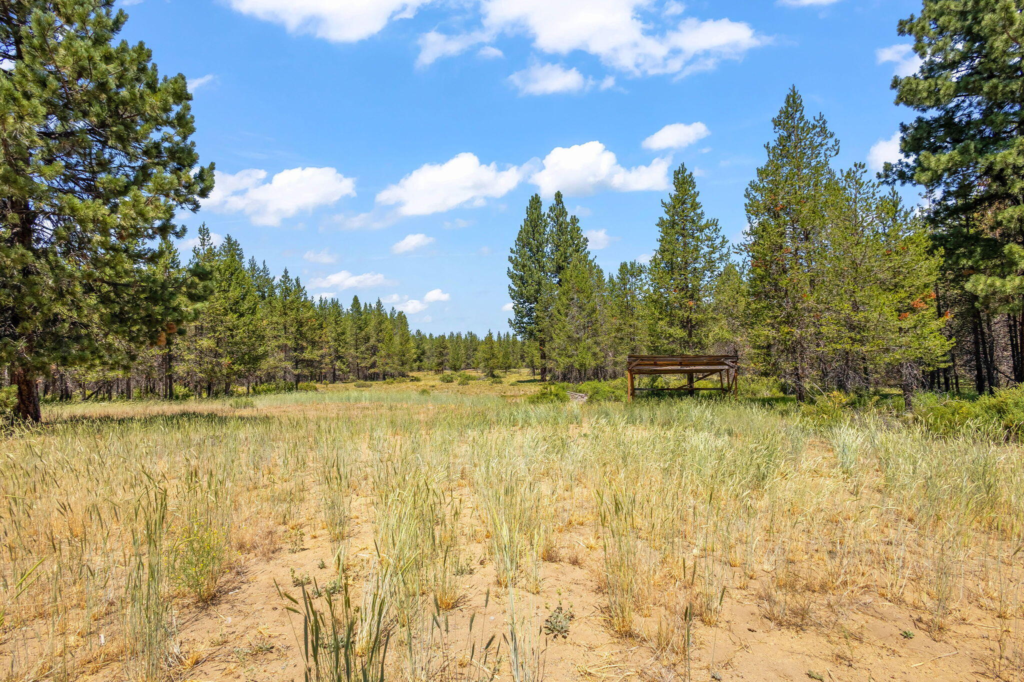 Pinewood Country Est - Land