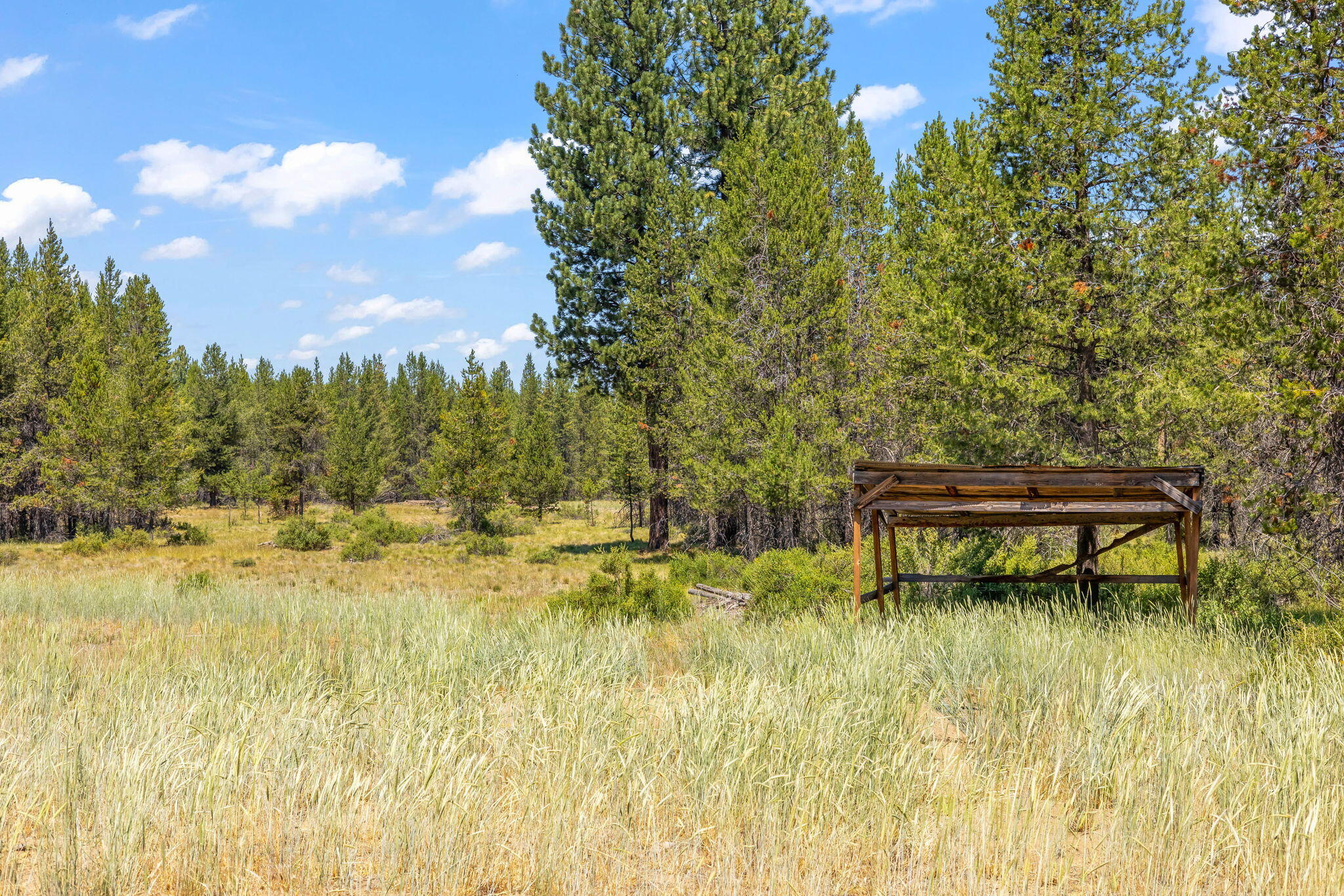 Pinewood Country Est - Land