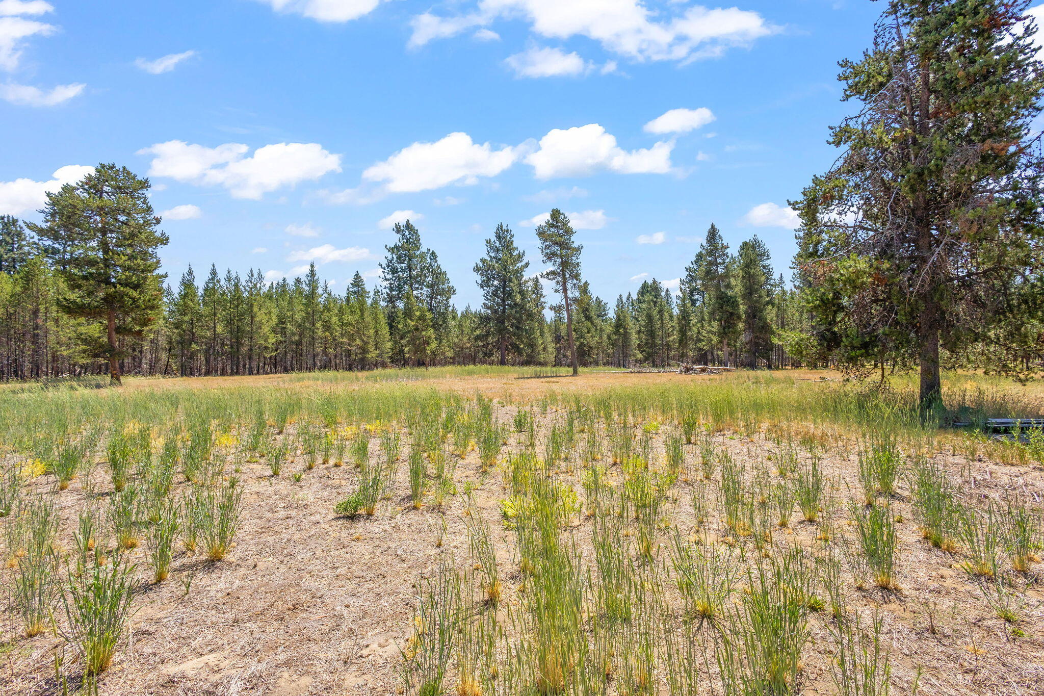 Pinewood Country Est - Land