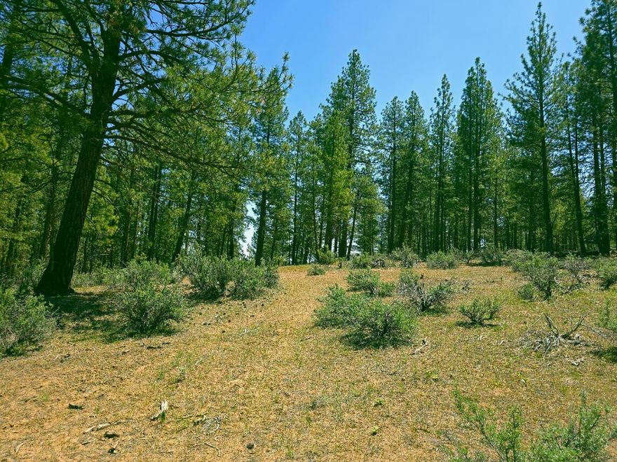 Beautiful wooded parcel located in the Klamath Country subdivision between the towns of Chiloquin and Sprague River.  

42.52191, -121.59898