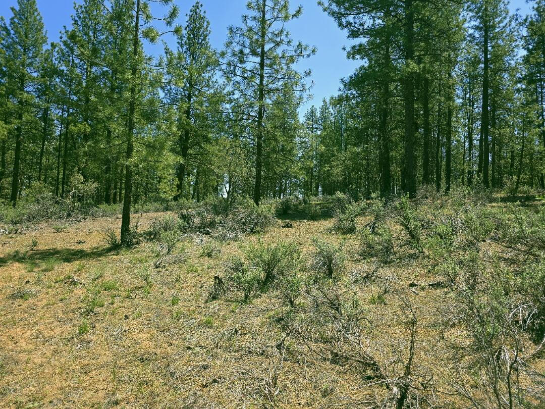 Klamath Country - Land