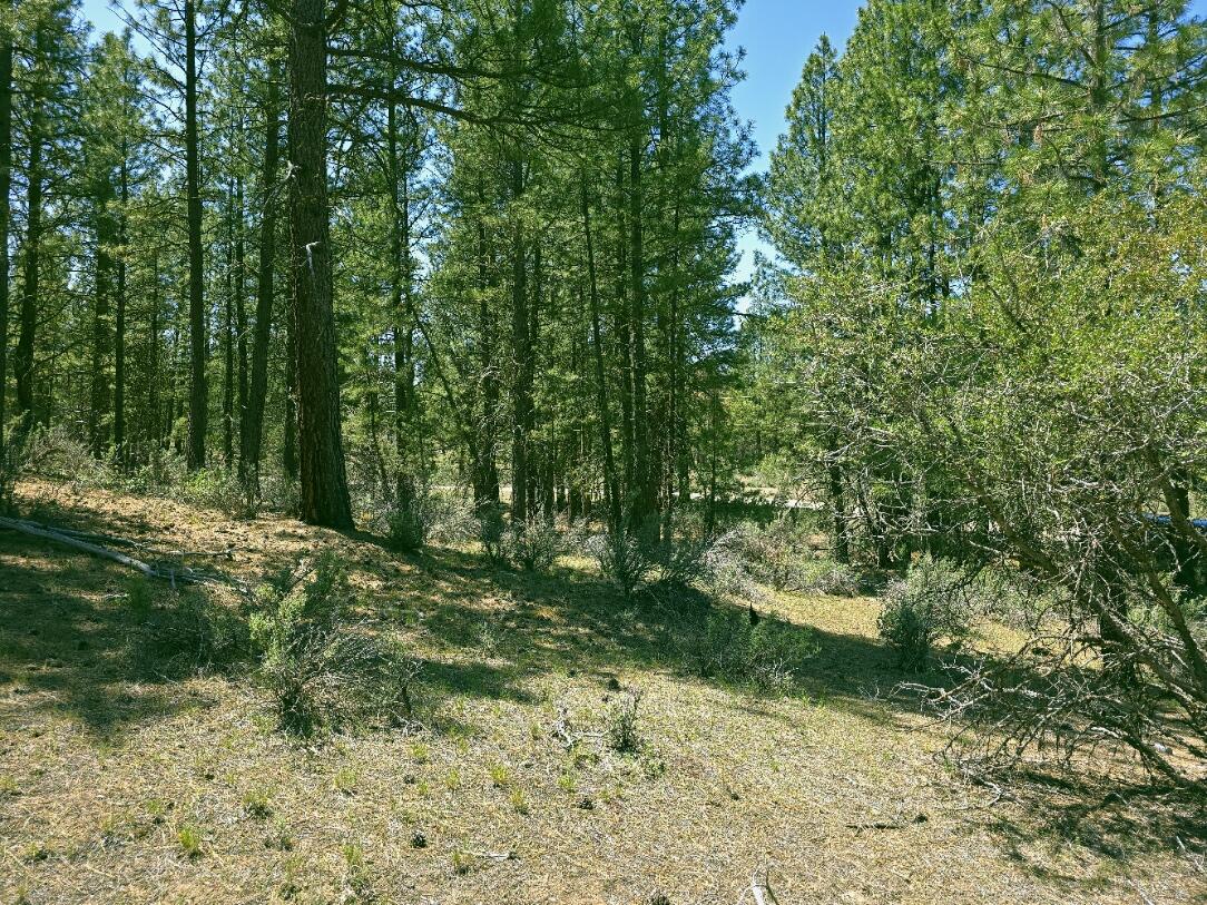 Klamath Country - Land