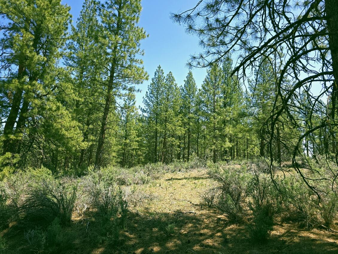 Klamath Country - Land