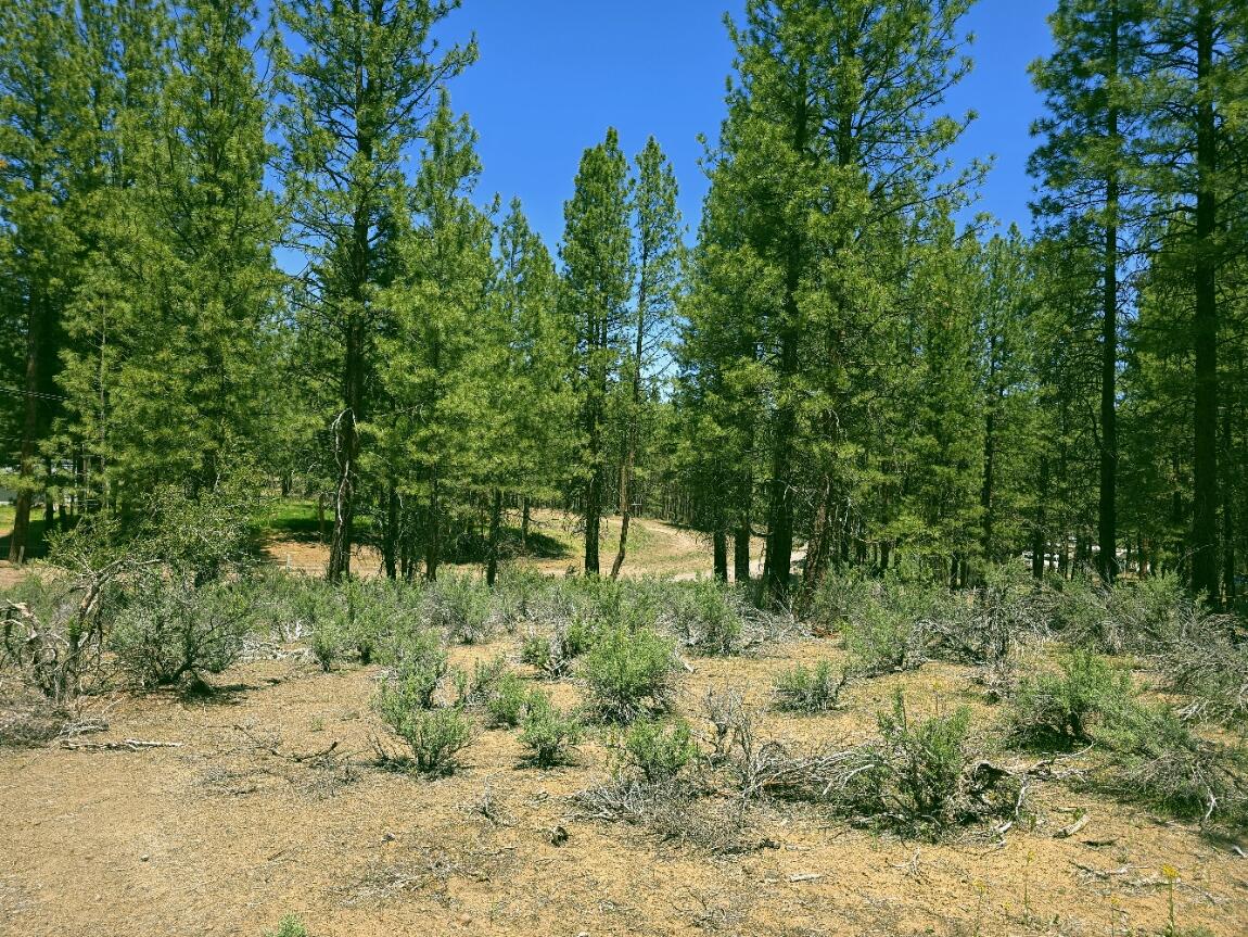 Klamath Country - Land