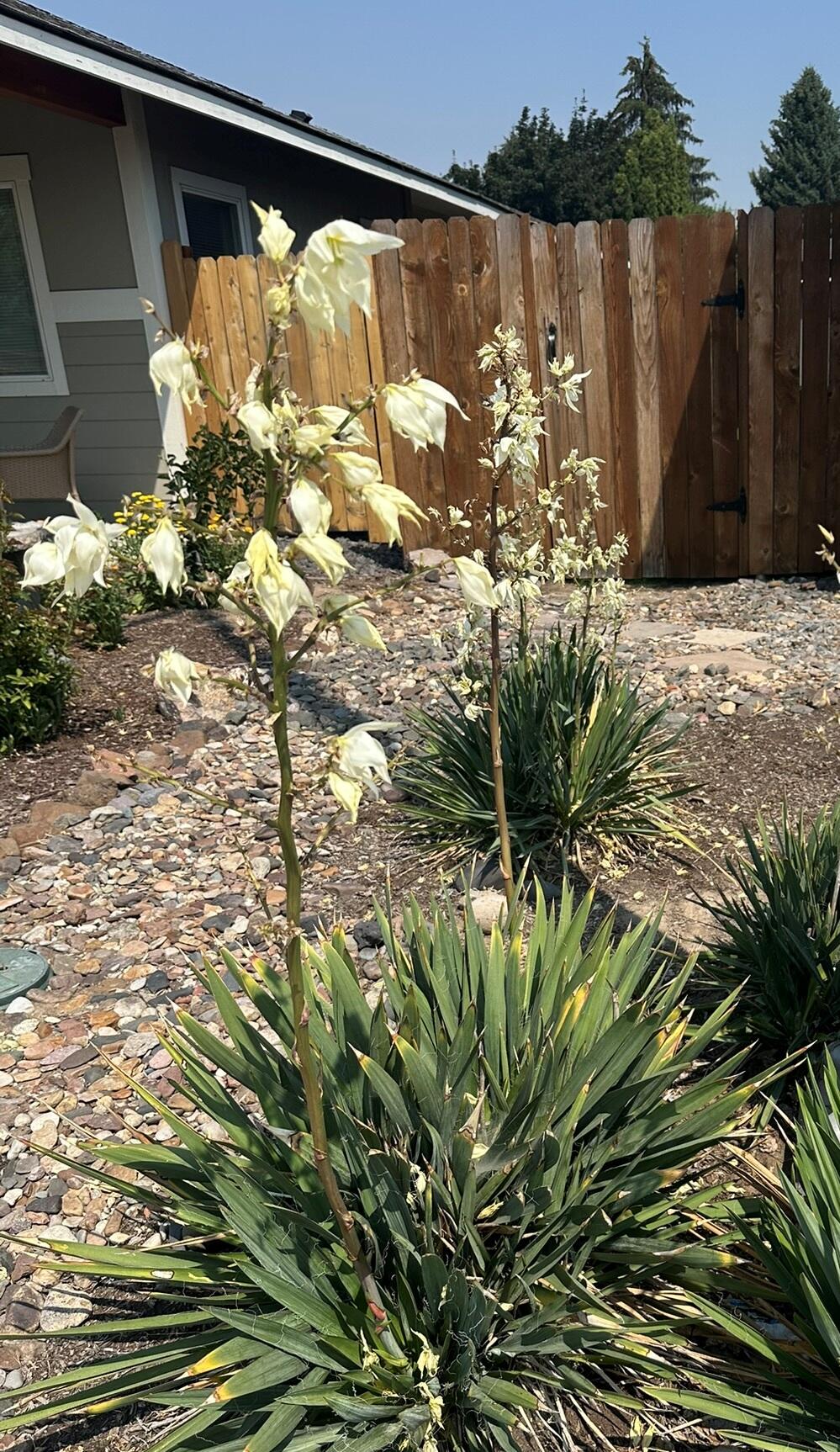 McKay Meadows - Residential