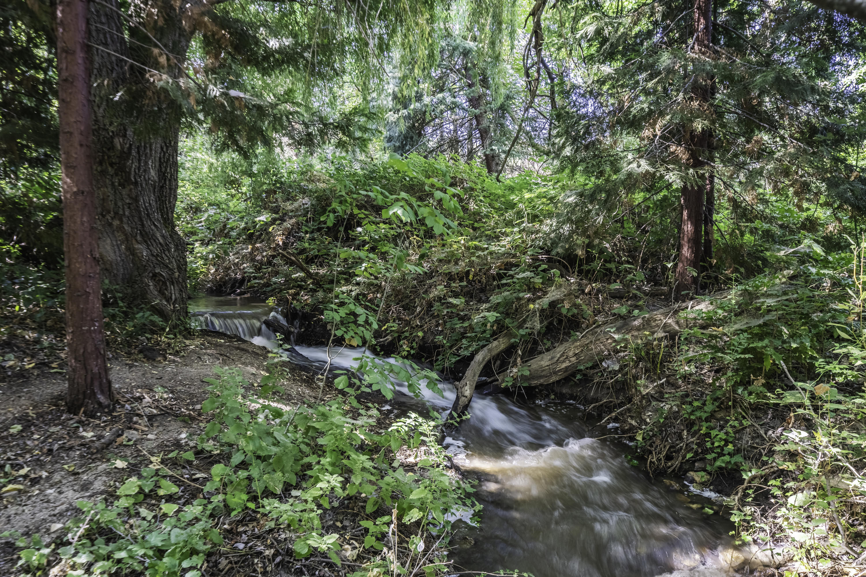 West Bellview Subdivision - Residential