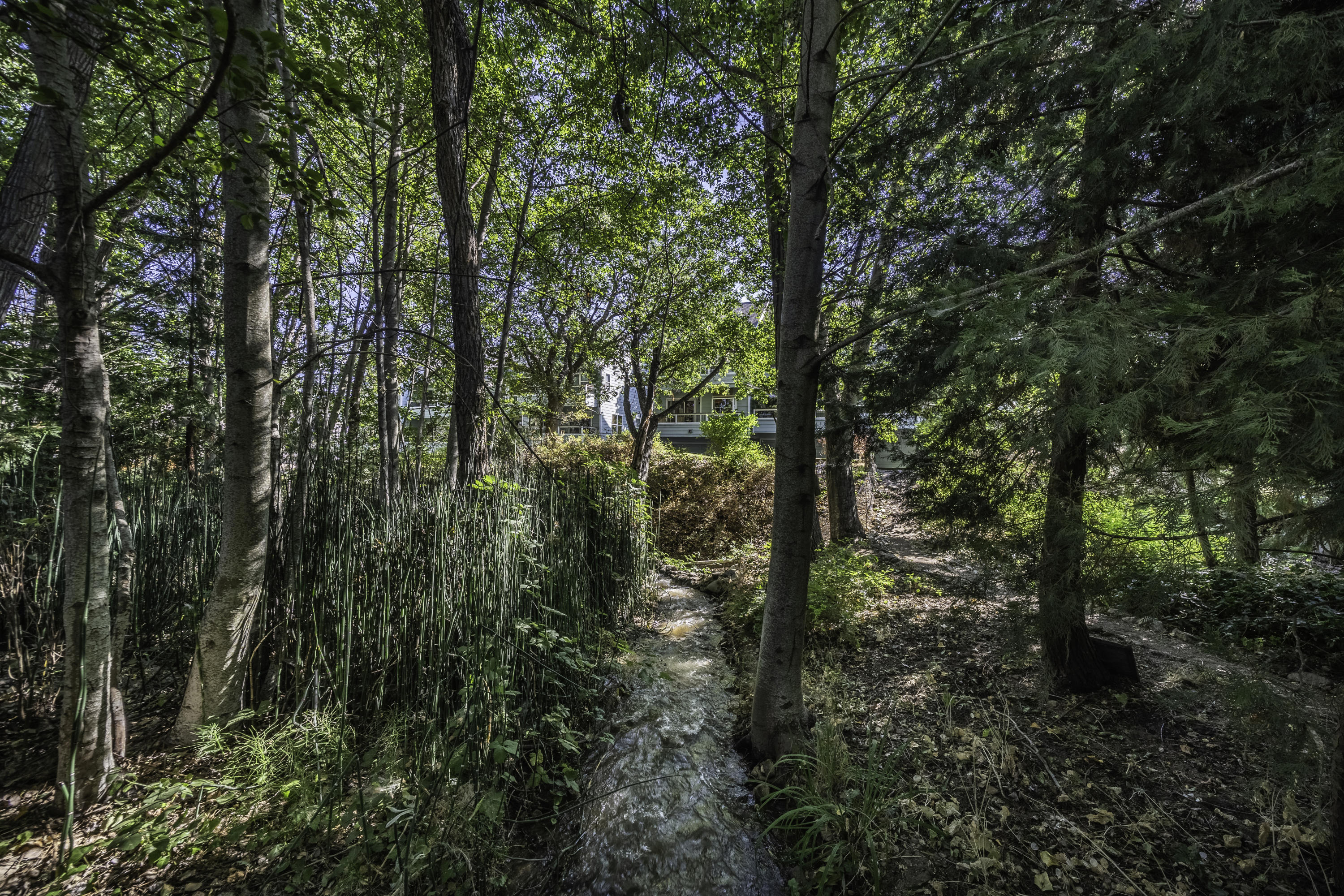 West Bellview Subdivision - Residential