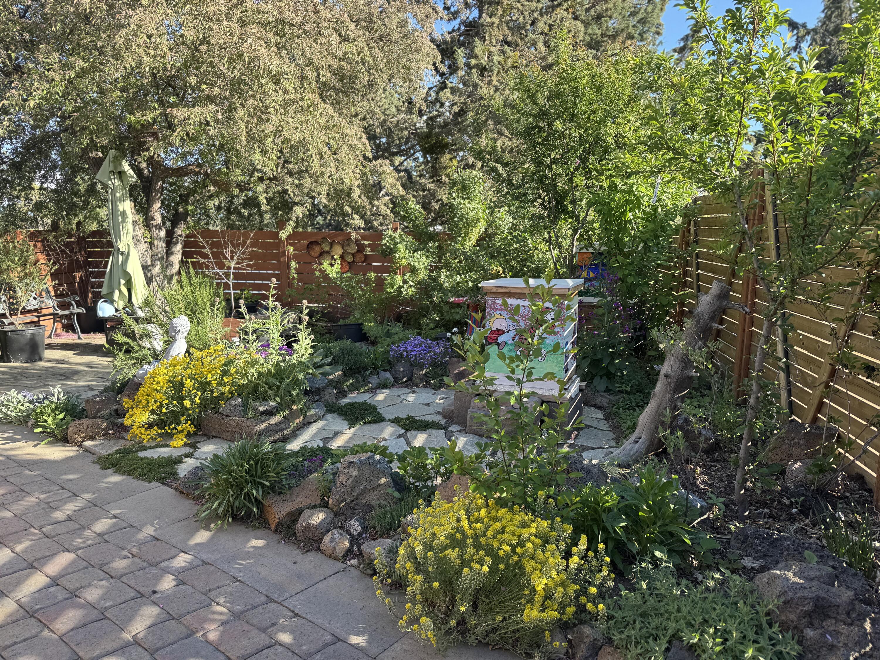 Aubrey Heights - Residential