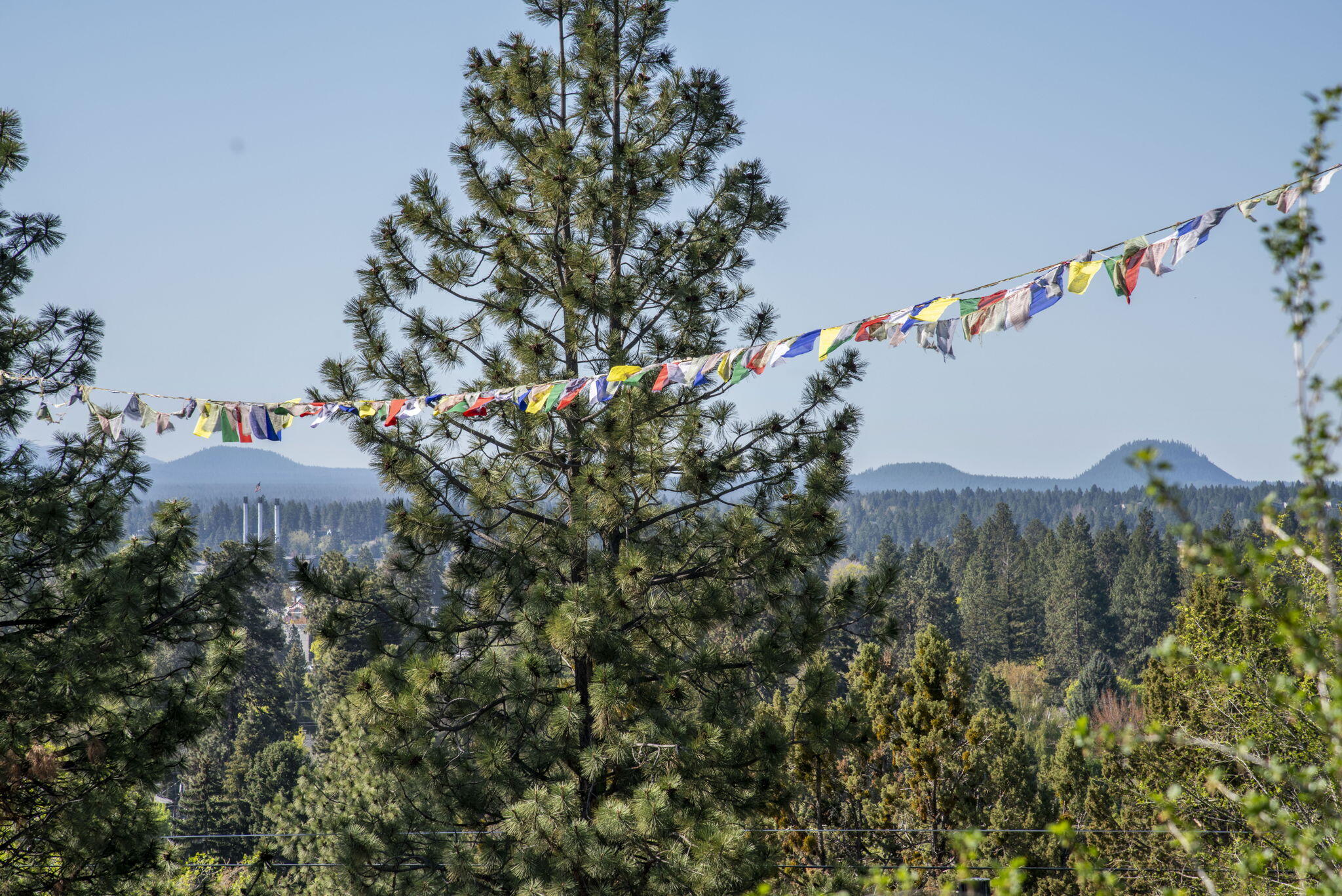 Aubrey Heights - Residential