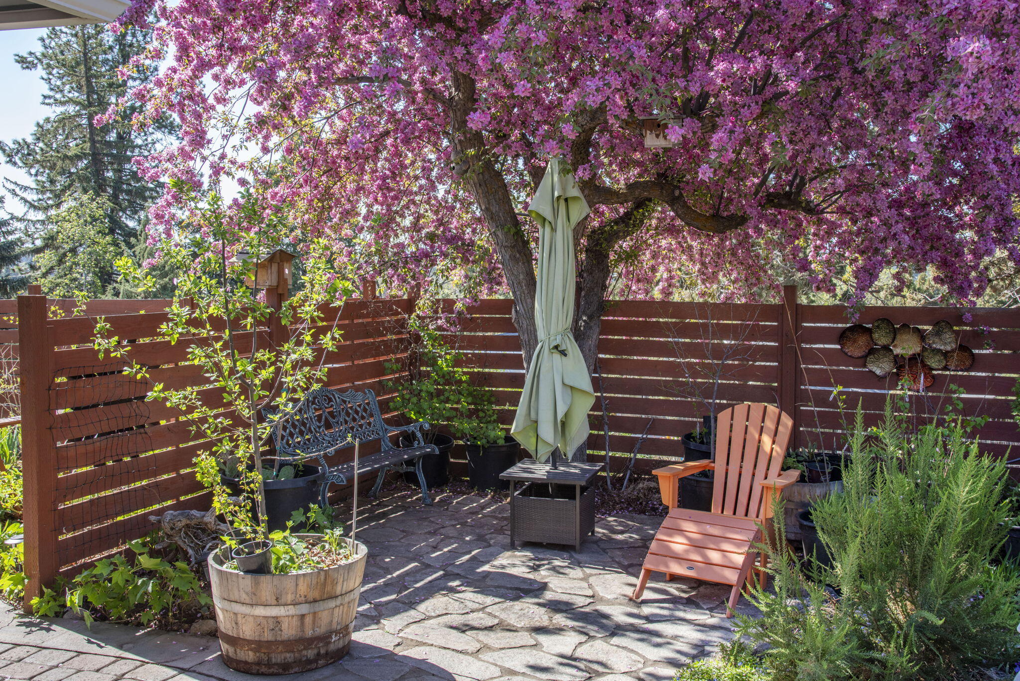 Aubrey Heights - Residential