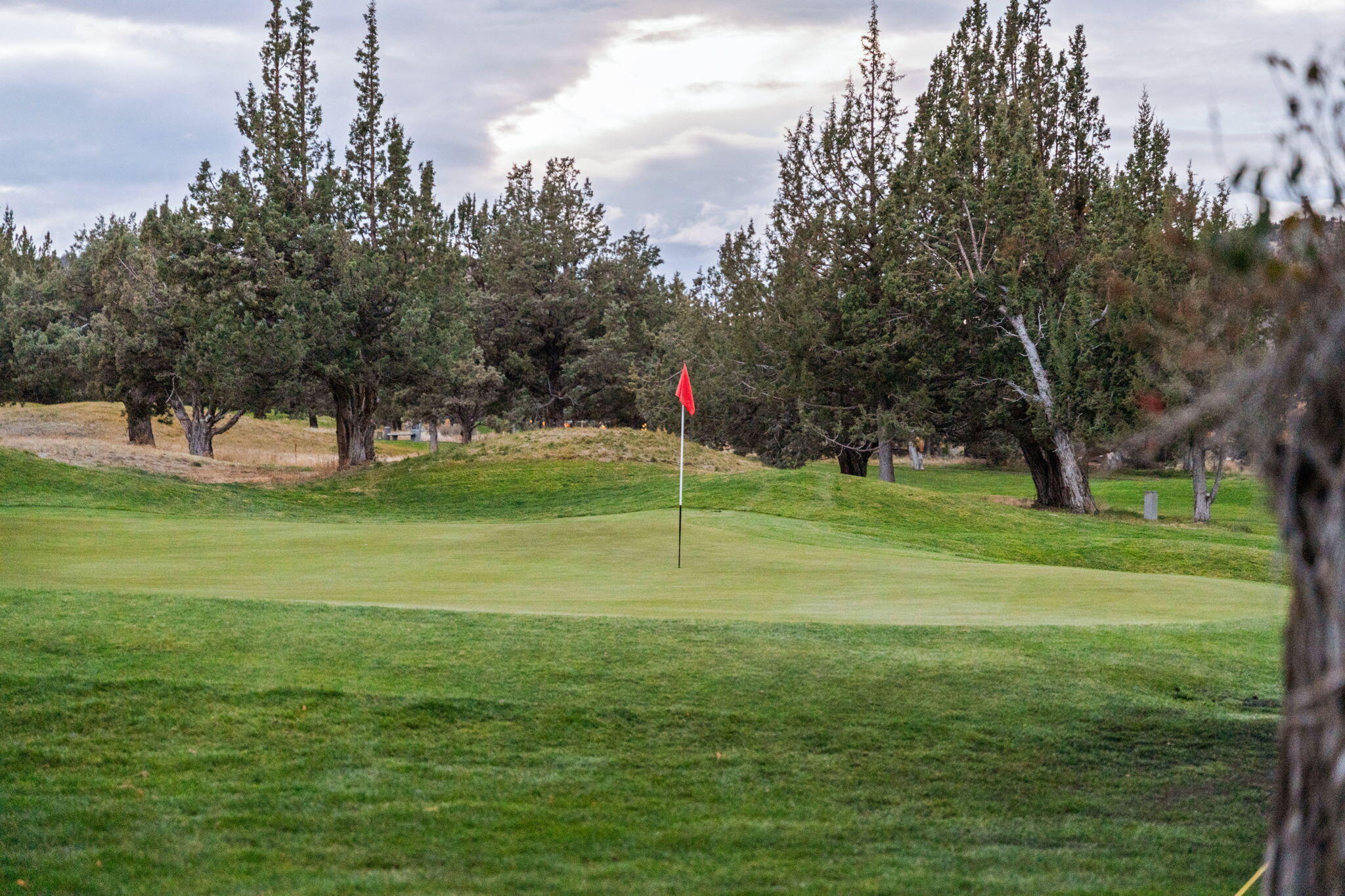 Ridge At Eagle Crest - Residential