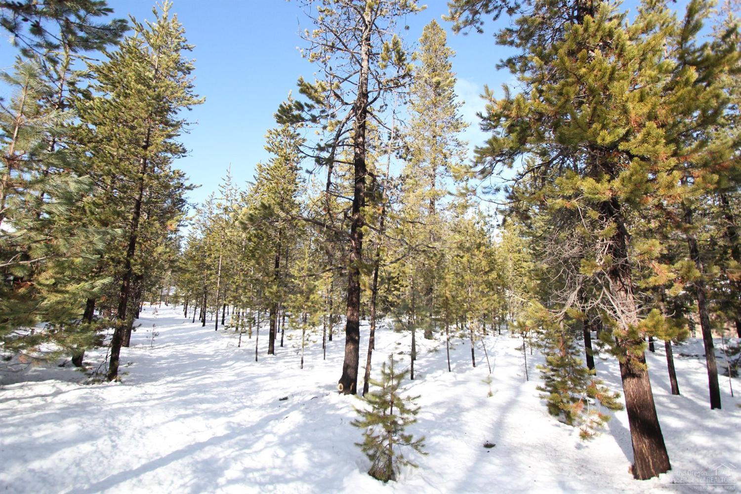 River Village - Land