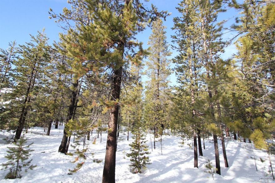 Build your dream home on this .29 acre lot in Sunriver Resort! This homesite is in a great location close to the river, in an area of nice homes with common area in the rear.