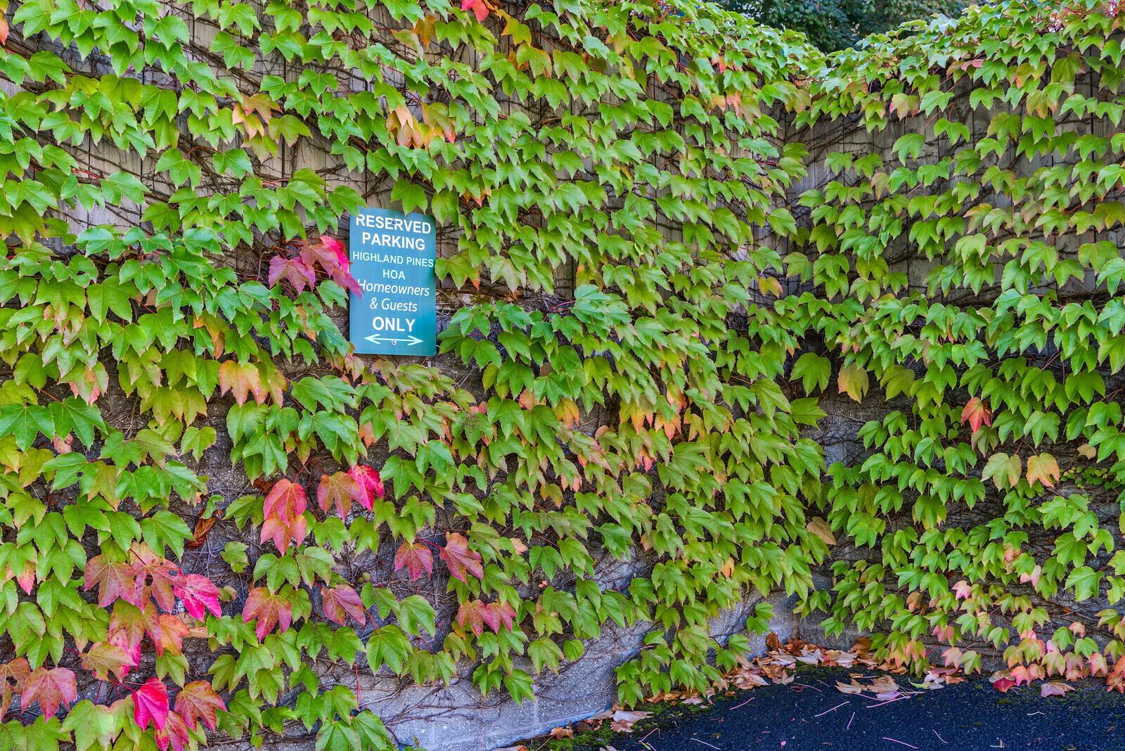 Highland Pines - Residential