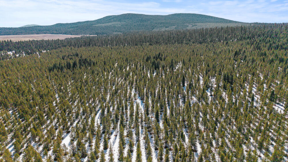 0 Clover Creek Rd Road 71022