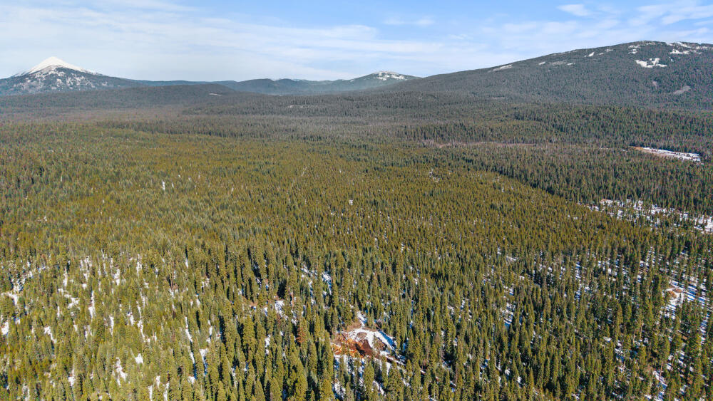 0 Clover Creek Rd Road 71022