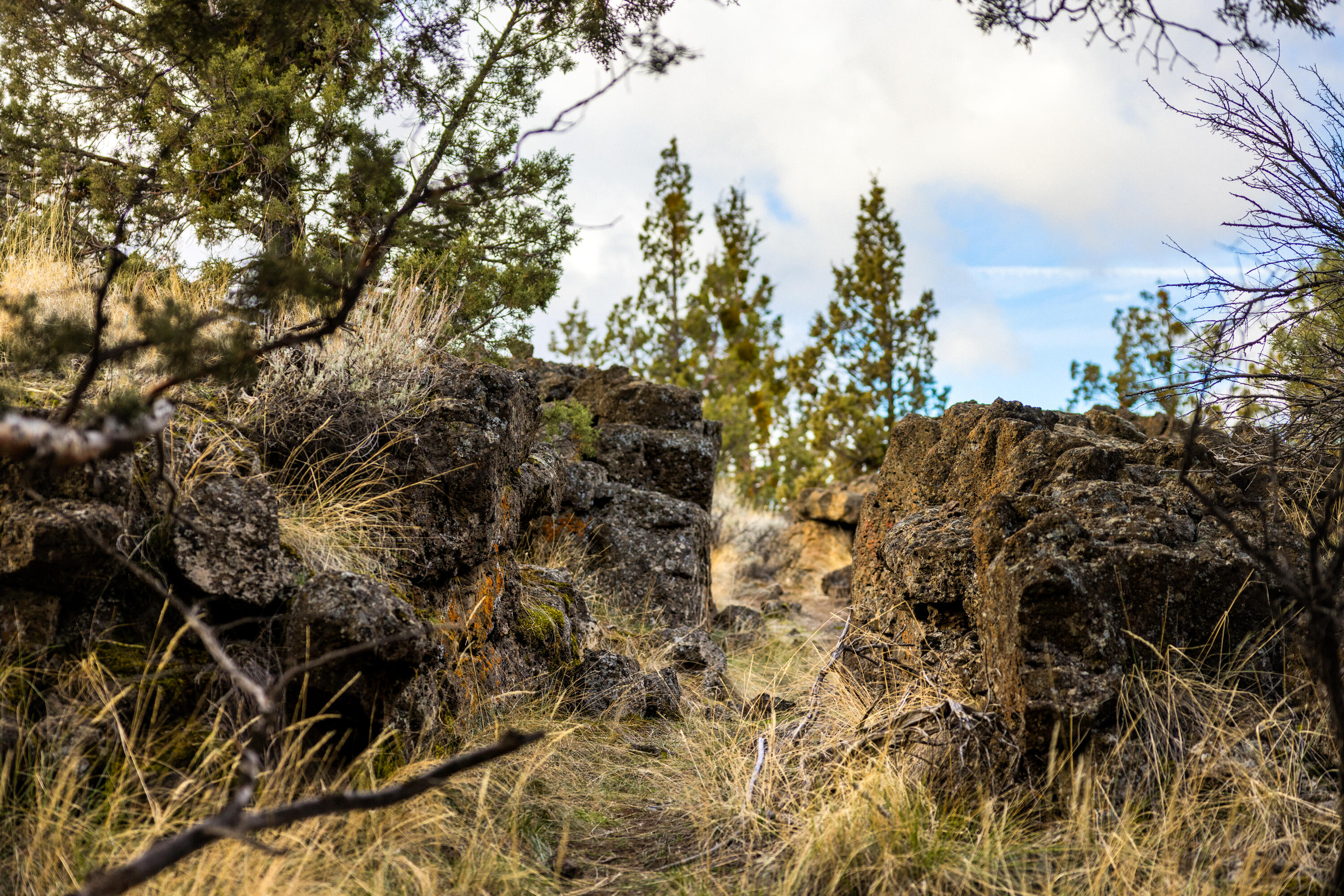 Lava Ridges - Residential