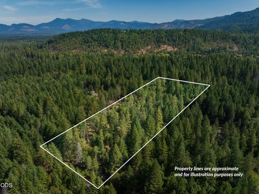 ROCKYDALE ROAD, CAVE JUNCTION, OR 97523 - Image f0c4899c5e5dabd4e70f30e30785d7fd/2838352418