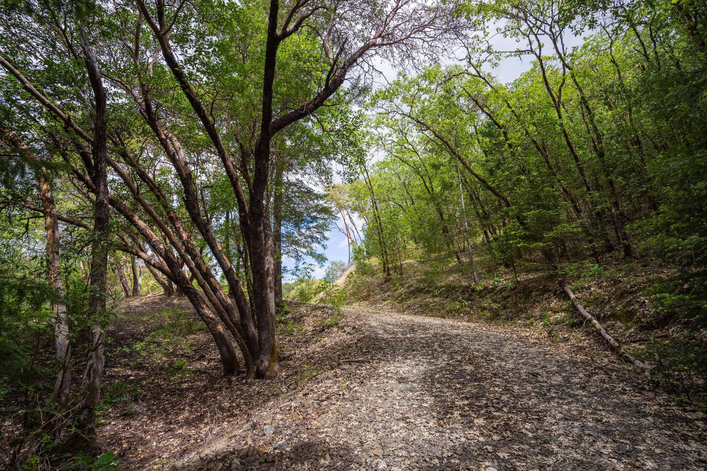 High Ridge Terrace Subdivision - Land