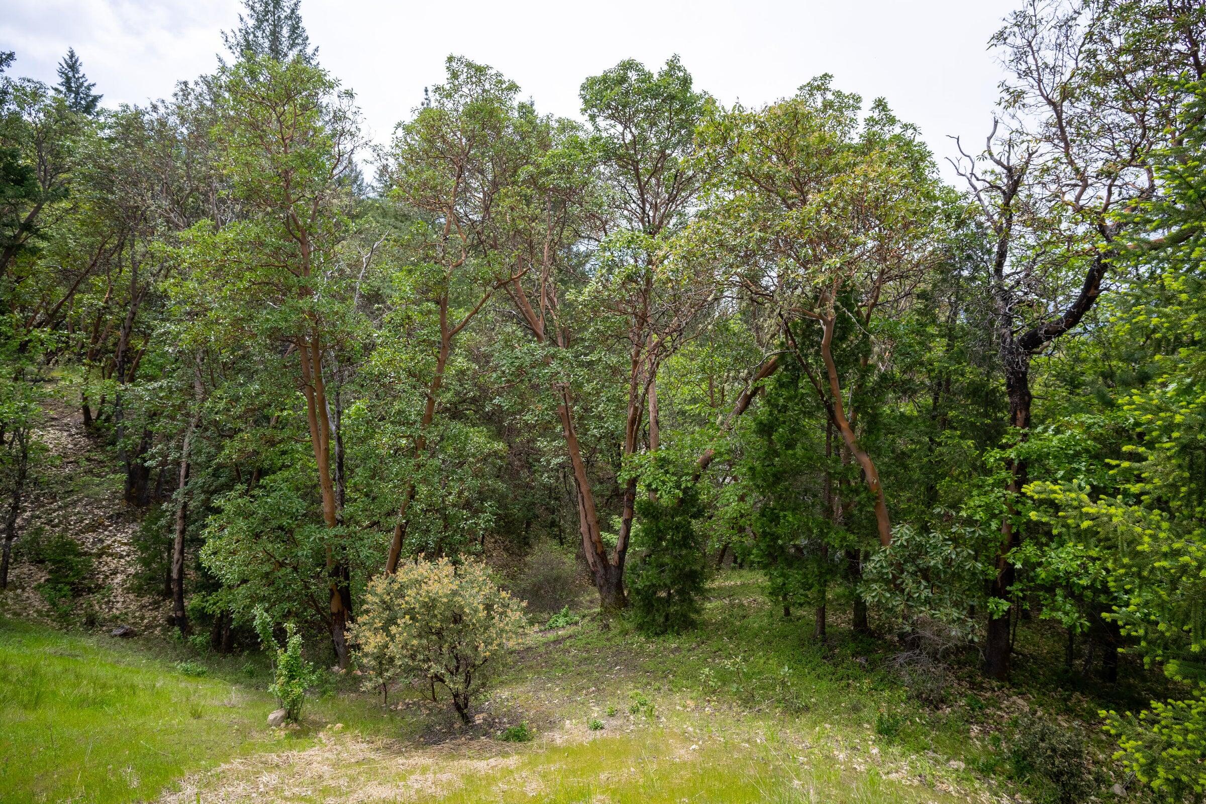 High Ridge Terrace Subdivision - Land