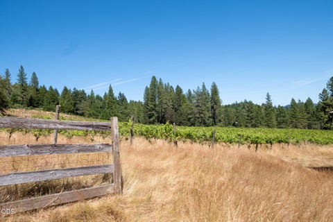 Tiny photo for 1329 Larson Road, Roseburg, OR 97471 (MLS # 220224503)