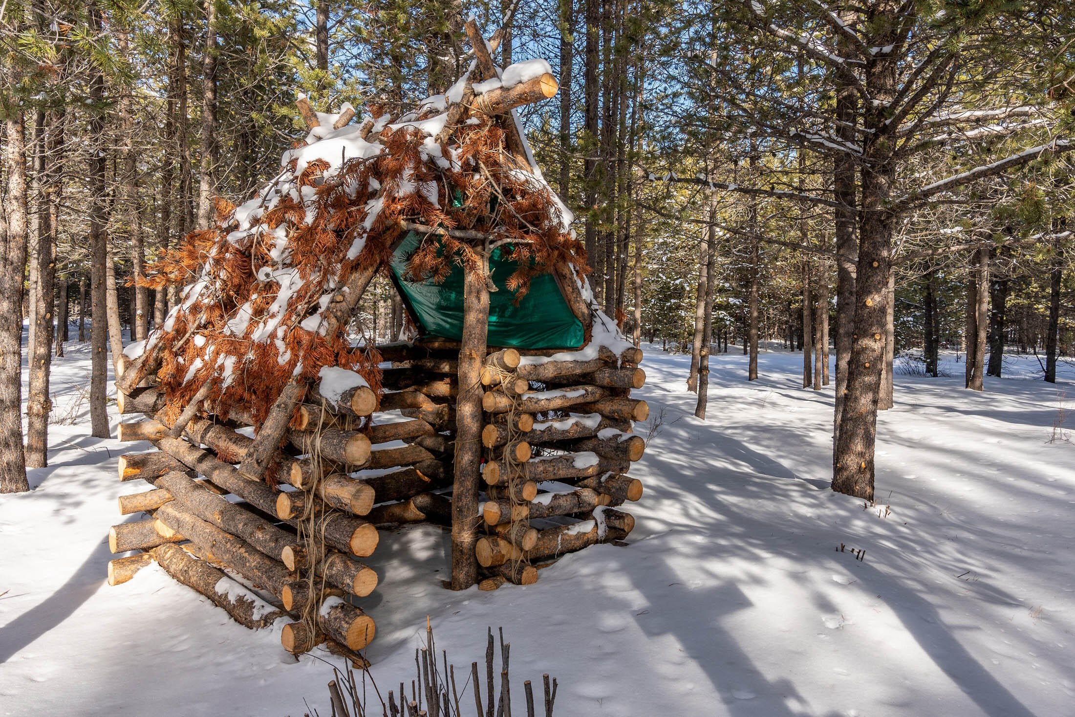 Pinewood Country Est - Residential