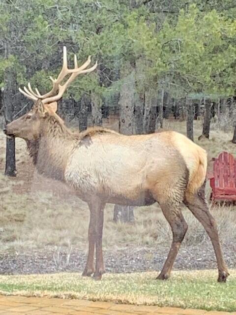 Pinewood Country Est - Residential