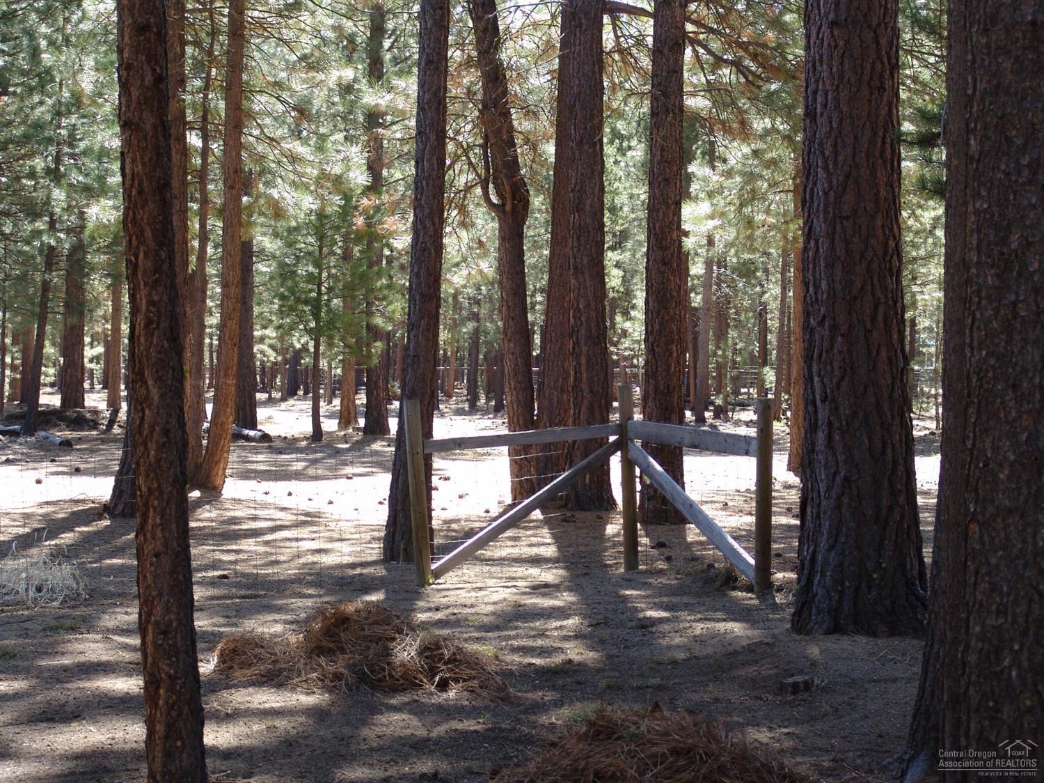 Ponderosa Pines - Residential