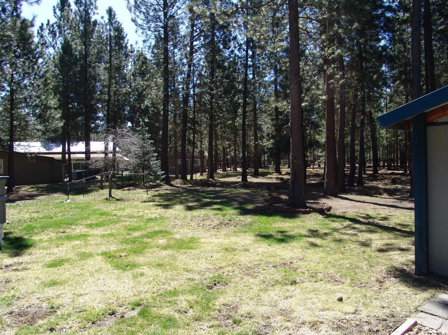 Ponderosa Pines - Residential