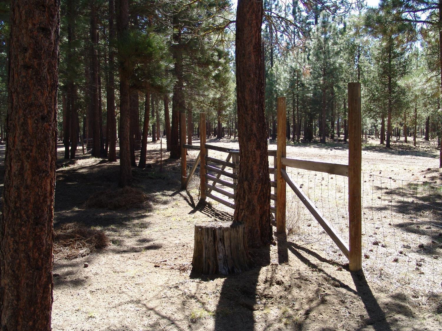 Ponderosa Pines - Residential