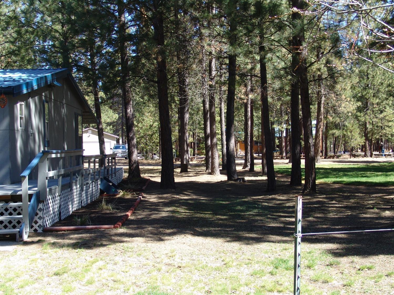 Ponderosa Pines - Residential