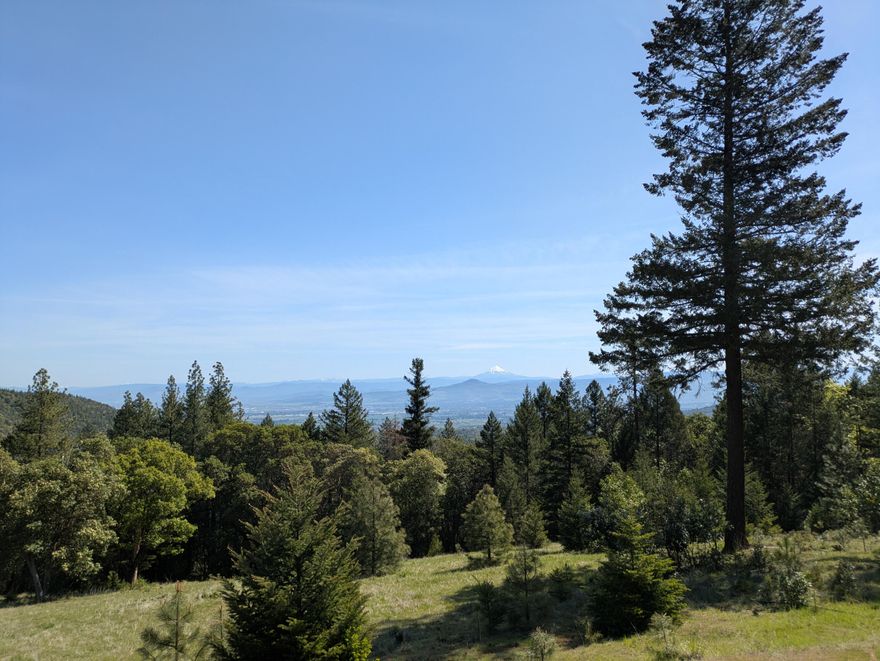 Build Your Legacy: 20-Acre View Estate Site. Privacy, Potential, and Ponderosa. Enjoy the ultimate privacy, perfect for a private estate or simply a secluded sanctuary.  This property is an ideal choice for the discerning buyer who values both the rugged natural beauty of Oregon. Seize the opportunity to create a custom mountain retreat on this spectacular 20-acre parcel. This is more than land; it's a future estate, offering an exceptional blend of seclusion and accessibility in the heart of Southern Oregon. Imagine a deck perfectly positioned to capture one of the most magnificent vistas in the region! With some strategic tree clearing, your custom home will command jaw-dropping panoramic views of the Rogue Valley and the majestic Cascade peaks: Mt. McLoughlin, Mt. Thielson, the Crater Lake Rim, and Mt. Bachelor. Pre-existing homesite and septic approval, power is conveniently nearby, and the access road is roughed in.