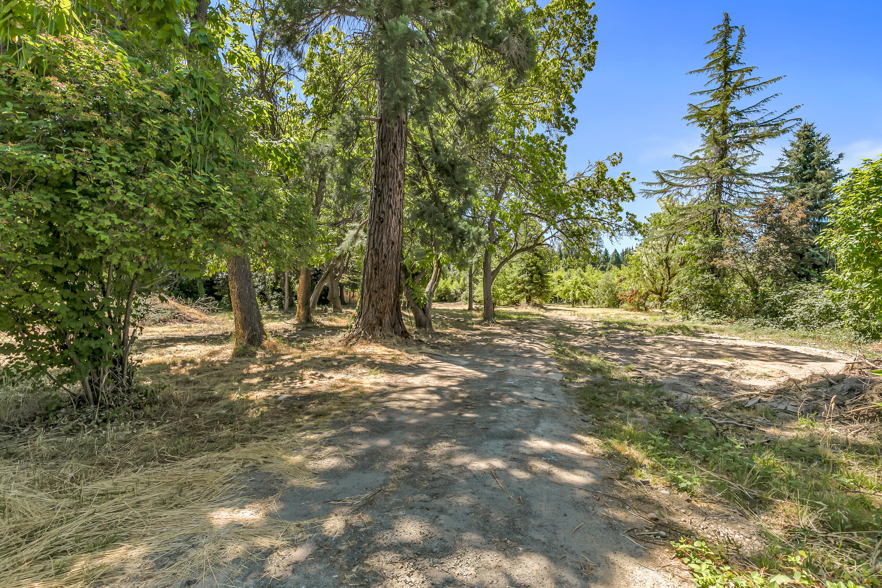 Chicago Land Co. Subdivision - Land