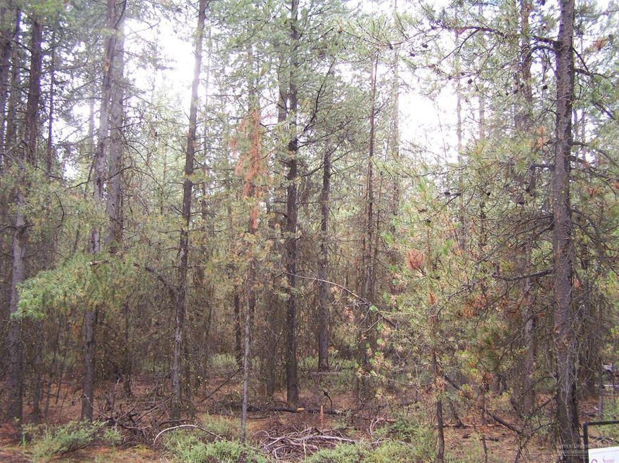 Very reasonable priced, private 1 acre parcel close to Central Oregon lakes, river and mountains. Located on a cul de sac.