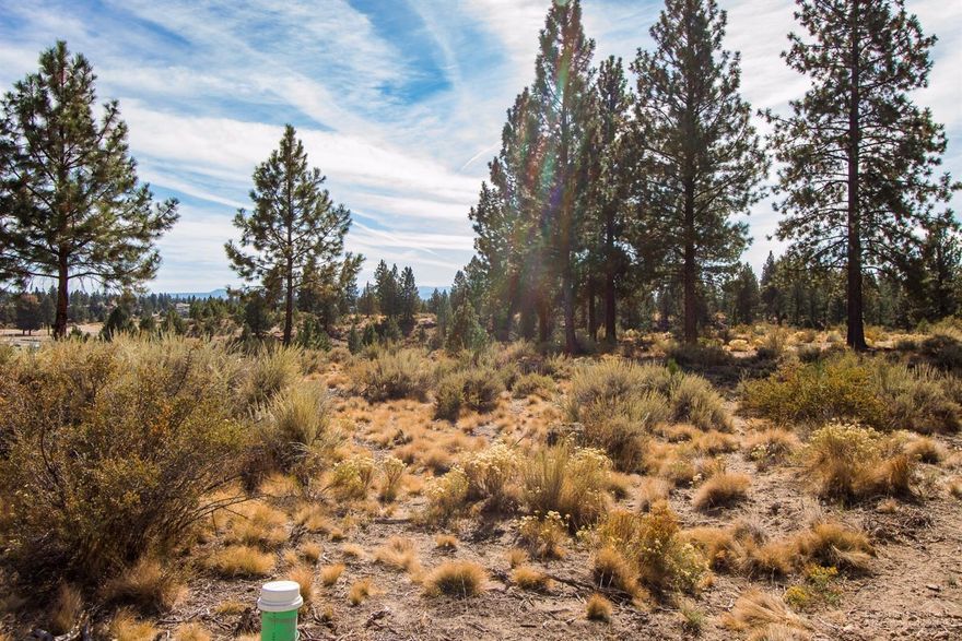 Premium home building site available in NorthWest Crossing. This elevated lot in newly-released Phase 29 overlooks fine homes and Discovery Park with a clear view of open sky beyond. Here is the dream location for a custom residence to express the wishes of a most discerning buyer. This lot measures slightly less than one-half acre and fronts on NW Celilo Lane.