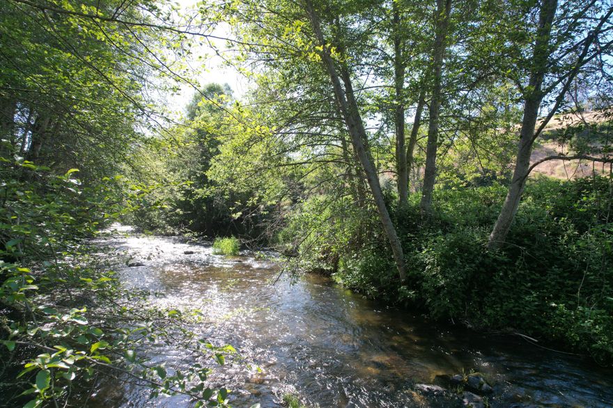 Riverfront Fixer with Endless Potential!
Embrace the rare opportunity to own over 1,700 feet of pristine Little Applegate River frontage on 38 serene acres bordered by BLM land and miles of established trails. The solid 3,192 sq.ft. home boasts a spacious open floor plan designed to capture breathtaking river views and the soothing sound of rushing water. While the home needs finishing—drywall, flooring, and reinstalling doors, cabinets, counters, and toilets—many quality materials are already on-site, including a custom two-person desk, walk-in closet display and stainless steel appliances with propane cooking. The large daylight basement offers easy conversion into a spacious studio, workshop, or guest quarters. Picture your dream equestrian estate or private riverfront retreat, complete with open meadows and endless tranquility. So much potential—ready for your vision to bring it to life!
