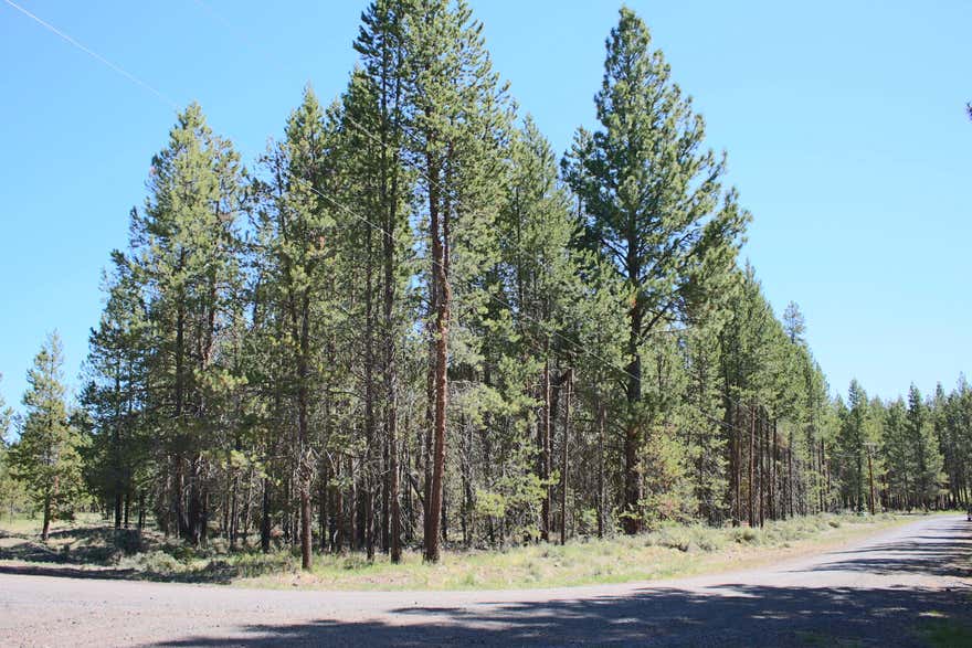 Fantastic location! Great opportunity to own a recreational lot that is just across from the Deschutes River, close to Cascade Lakes, La Pine State Park and Mt. Bachelor. Relax and enjoy the abundant wildlife on this nicely treed corner lot that is just under half an acre. DRRH has common area on the Deschutes river for owners.